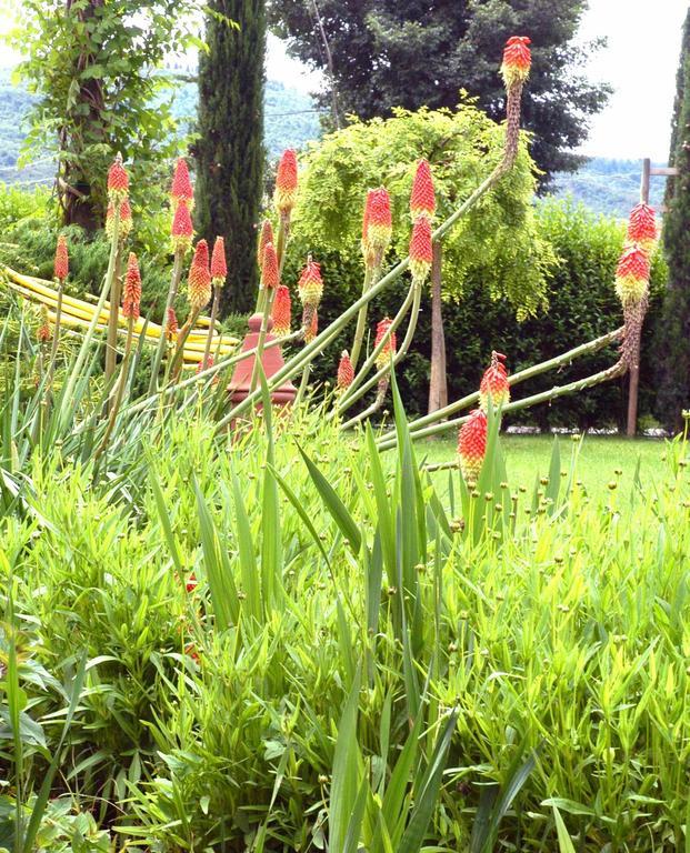 Holiday Home Il Moro Novo Cortona Eksteriør billede